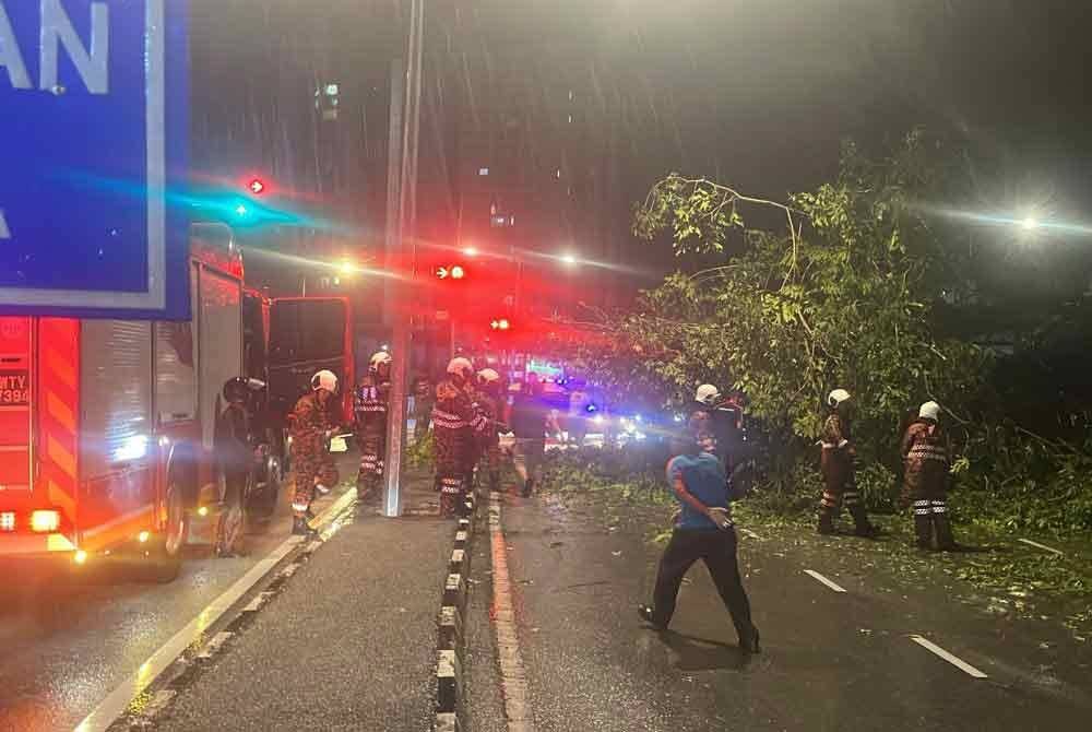 MBPP menerima 20 laporan pokok tumbang dan dahan patah selepas hujan lebat dan angin kencang yang melanda Pulau Pinang pada awal pagi Ahad. Foto Ihsan orang awam