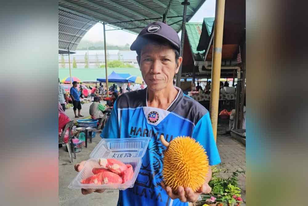 Tenom Beauty salah satu durian yang hanya boleh ditemui di Tenom dan dijual oleh Andipas di Tamu Tenom.