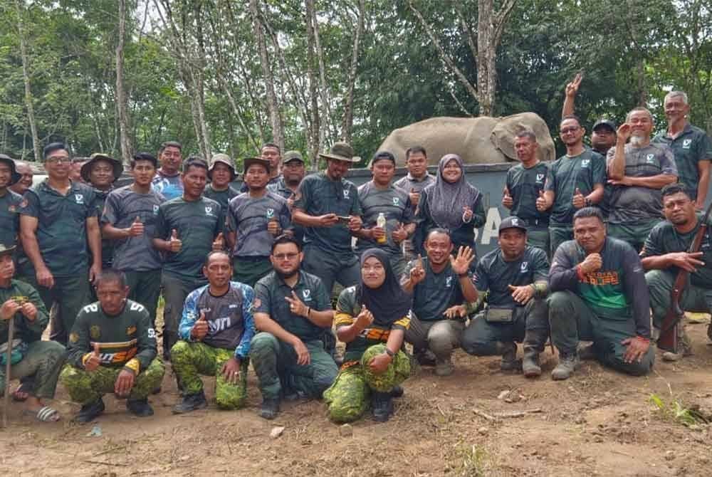 Operasi translokasi gajah yang dijalankan Perhilitan berjaya memindahkan 14 ekor gajah di Gerik.