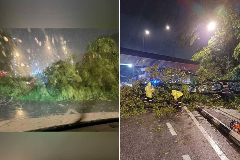 Beberapa kejadian pokok tumbang dilaporkan di Pulau Pinang susulan angin kencang dan hujan lebat.