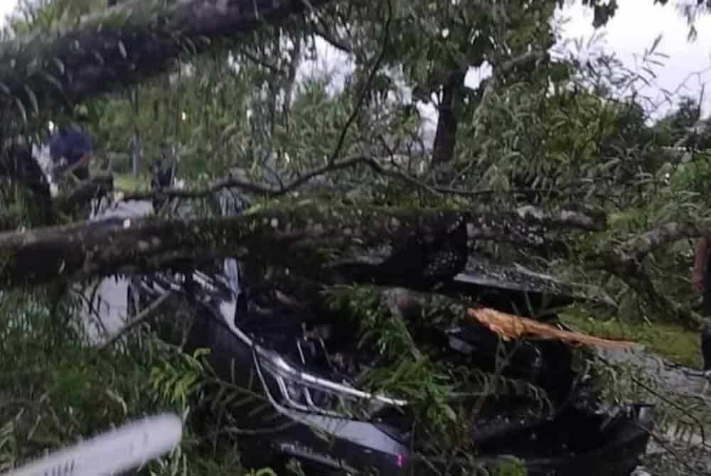 Sebatang pokok tumbang dan menghempap sebuah kereta dan motosikal di Jalan Alor Setar-Kangar di Ayer Hitam, dekat Jitra pada Ahad.