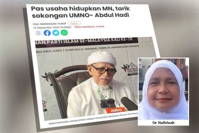 Pas sebelum ini memaklumkan akan meneruskan usaha mereka untuk menarik sokongan pemimpin UMNO bagi menghidupkan Muafakat Nasional (MN).