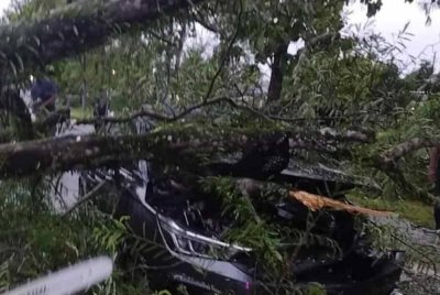Sebatang pokok tumbang dan menghempap sebuah kereta dan motosikal di Jalan Alor Setar-Kangar di Ayer Hitam, dekat Jitra pada Ahad.