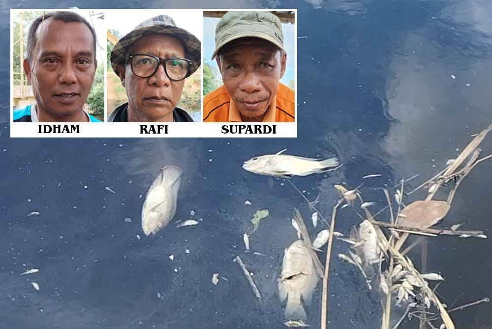 Bangkai ikan terapung di permulaan sungai.