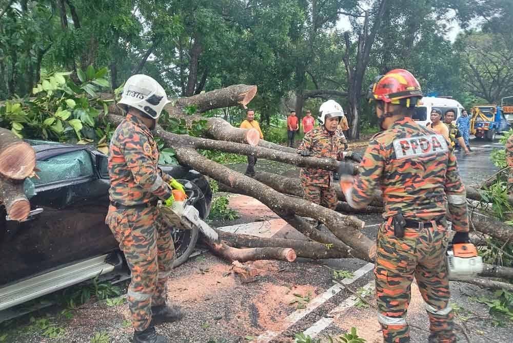 Pasukan bomba melakukan operasi mengalihkan pokok tumbang dengan menggunakan gergaji berantai.