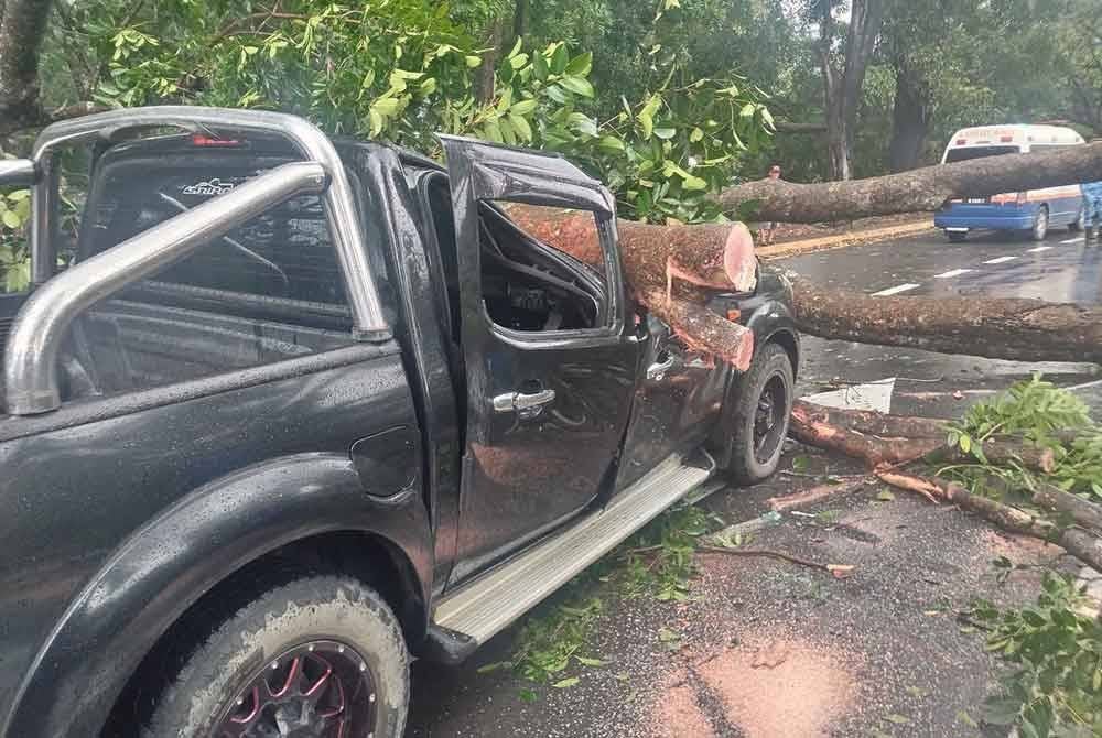 Dua warga emas cedera selepas pacuan empat roda dinaiki dihempap pokok tumbang.