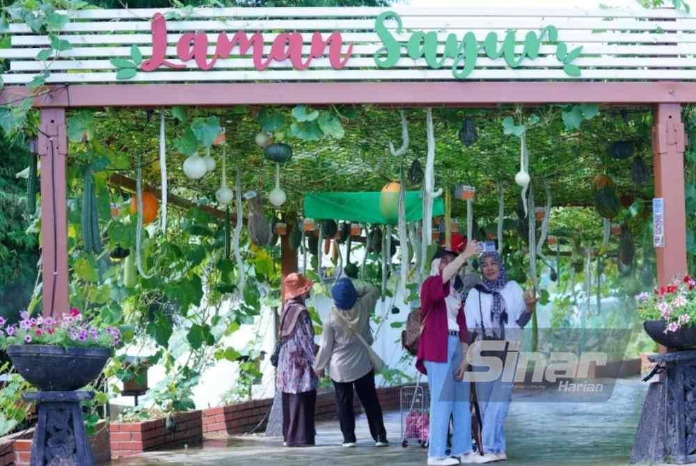 Lebih 10,000 pengunjung hadir ke Laman Sayur, Herba dan Kelulut sehingga Isnin lalu. FOTO SINAR HARIAN-MOHD HALIM ABDUL WAHID