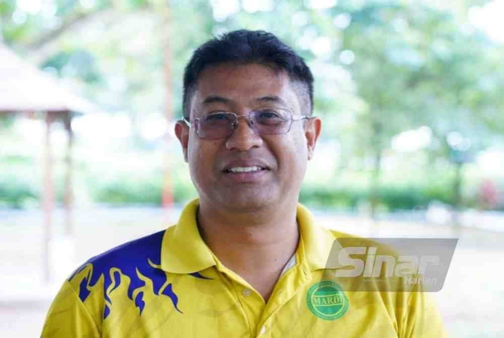 Yaseer Suhaimi. FOTO SINAR HARIAN-MOHD HALIM ABDUL WAHID