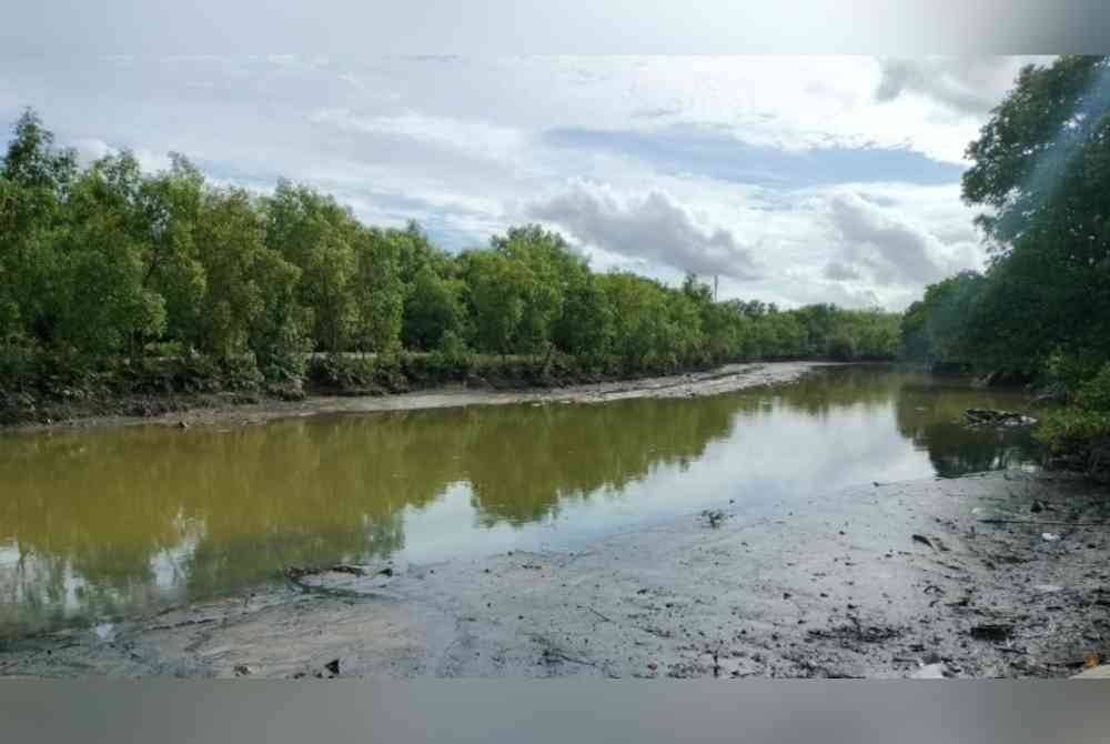 Penduduk mahu keadaan sungai di Sungai Petani yang kotor dan mengeluarkan bau busuk diberi perhatian segera oleh pihak berwajib.