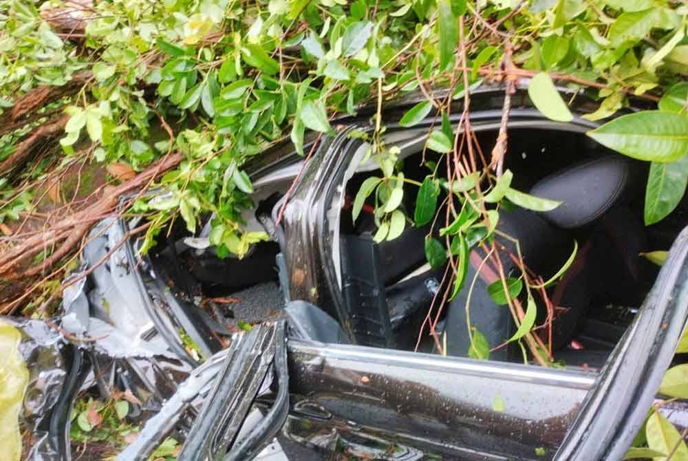 Kejadian pokok tumbang turut mengakibatkan sebuah kenderaan pelbagai guna (MPV) jenis Perodua Alza mengalami kerosakan. Foto bomba