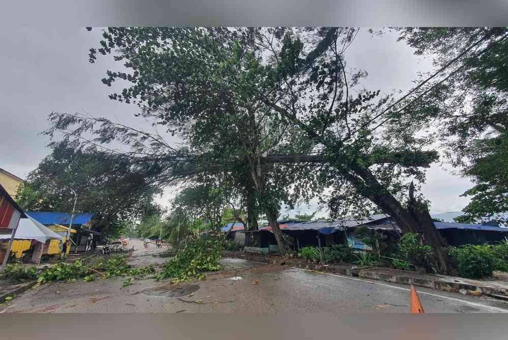 Kejadian pokok tumbang di Pantai Bersih pada petang Rabu.