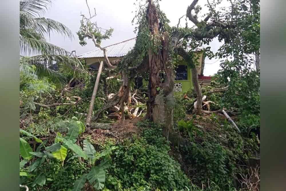 Hujan lebat berserta angin kuat yang melanda pada Rabu mengakibatkan pokok tumbang. Foto APM Sik