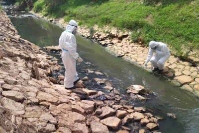 Sampel daripada sungai tercemar diambil untuk dianalisis.
