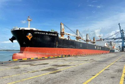 Sejak Januari hingga Ogos 2024, Northport menerima sejumlah 171 singgahan kapal adhoc dan merekodkan sejumlah 13 perkhidmatan perkapalan baharu di pelabuhannya.