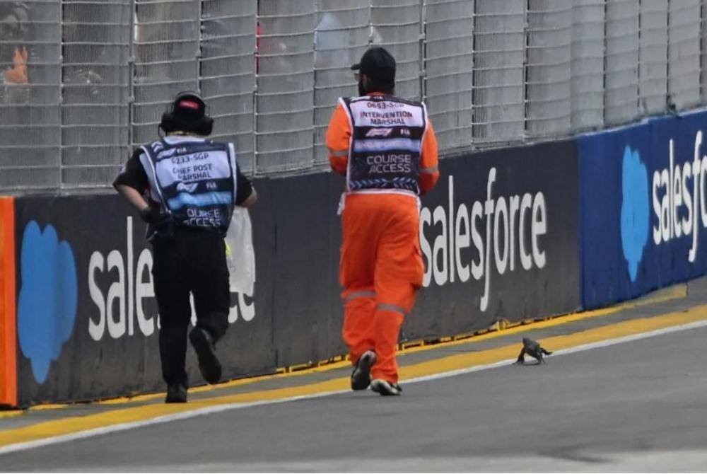 Latihan akhir bagi Grand Prix Formula Satu Singapura ditangguhkan selama beberapa minit pada Sabtu akibat seekor cicak di litar jalanan. Foto Agensi