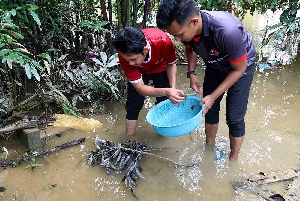 Mohd Ikhwan Hafiz Ridzuan bersama Mohd Aizat Adhamencari udang galah dan ikan yang dikatakan 'mabuk banjir' di tepian Sungai Anak Bukit berhampiran rumah mereka ketika tinjauan banjir di Suka Menanti, pada Isnin. Foto Bernama
