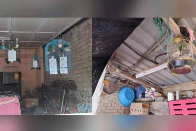 Antara premis yang diperiksa dalam dua operasi OBK di Raub, Jumaat lalu. Foto Facebook Jabatan Perhilitan Semenanjung Malaysia