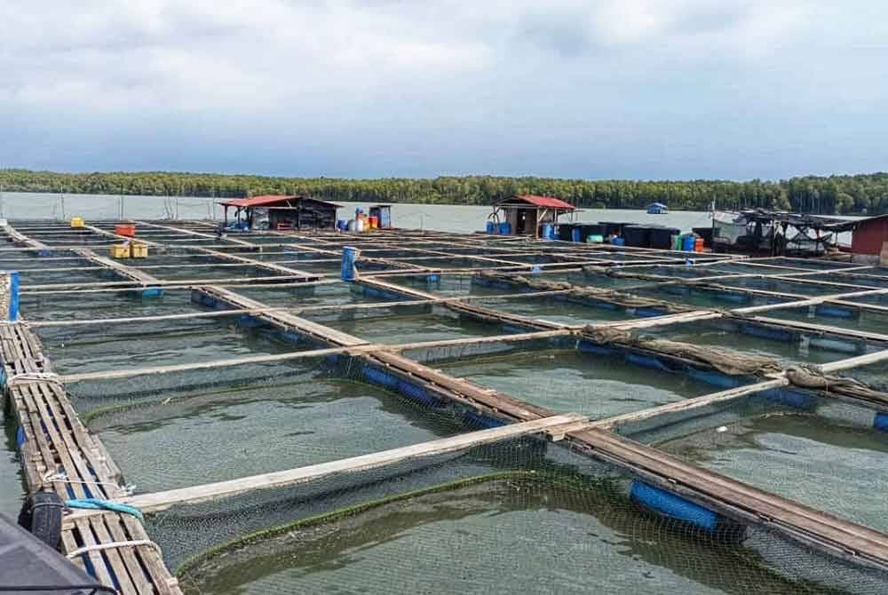 Sangkar ikan yang lesennya sudah tamat tempoh.