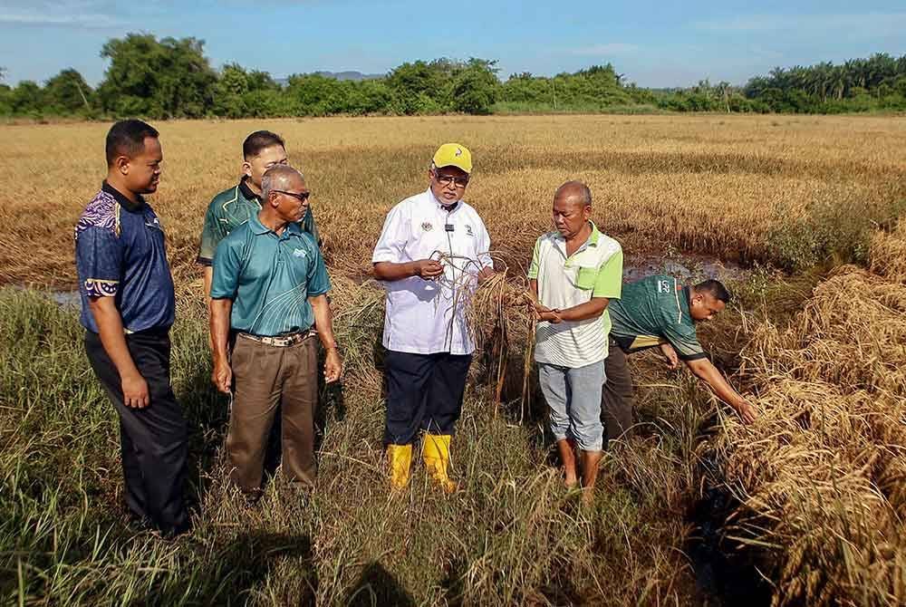 Pengerusi Lembaga Pertubuhan Peladang (LPP), Datuk Mahfuz Omar (empat, kiri) meninjau keadaan sawah yang tenggelam dalam kejadian banjir di Kampung Paya Tok Teh hari ini.
