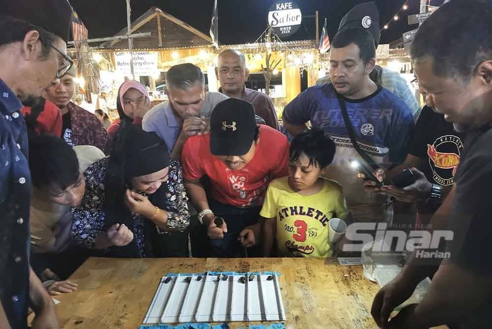 Pusingan separuh akhir menyaksikan siput dipertandingkan masih aktif bagi merebut gelaran juara.