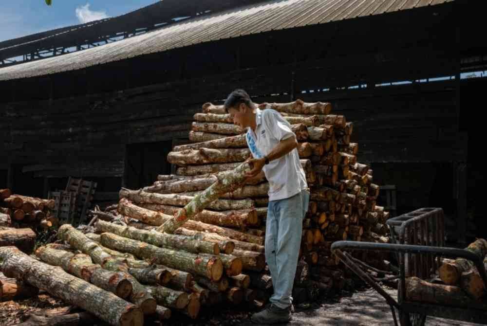Pekerja kilang arang giat melakukan kerja-kerja memproses arang kayu bakau di kilang arang di Kuala Sepetang baru-baru ini. Foto Bernama