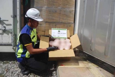 Pegawai Maqis Pulau Pinang memeriksa kontena yang memuatkan aiskrim.