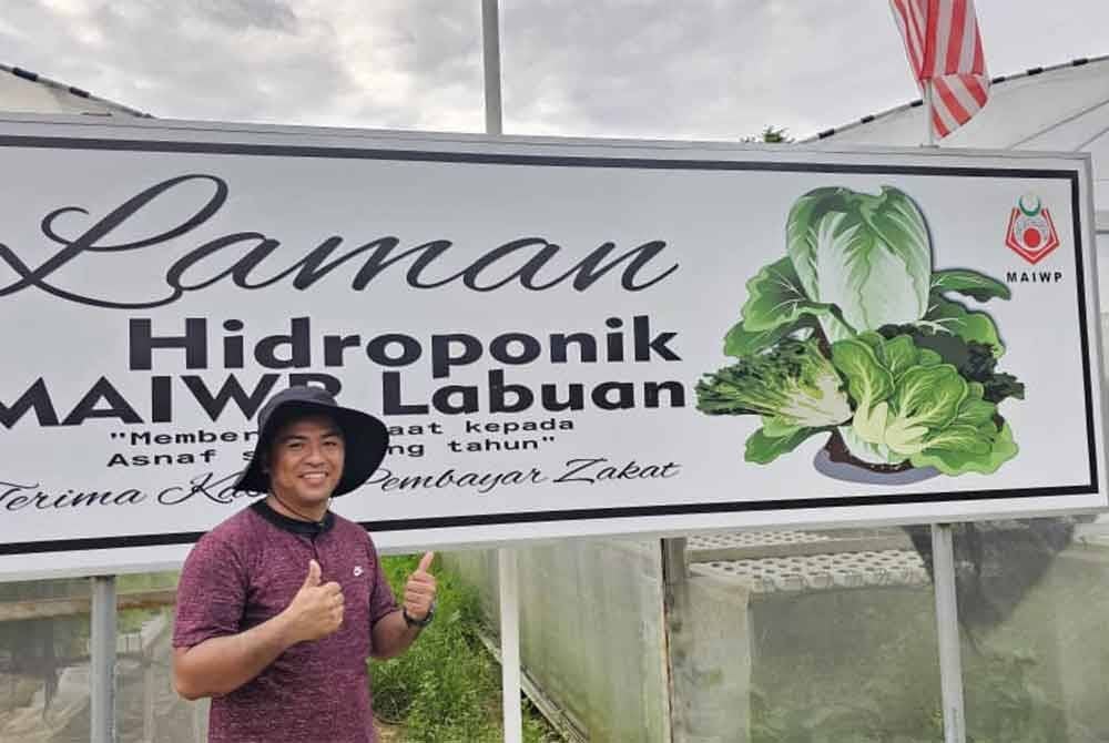 Zulhafez salah seorang penerima bantuan daripada MAIWP yang mengusahakan tanaman hidroponik di Laman Hidroponik MAIWP Labuan.
