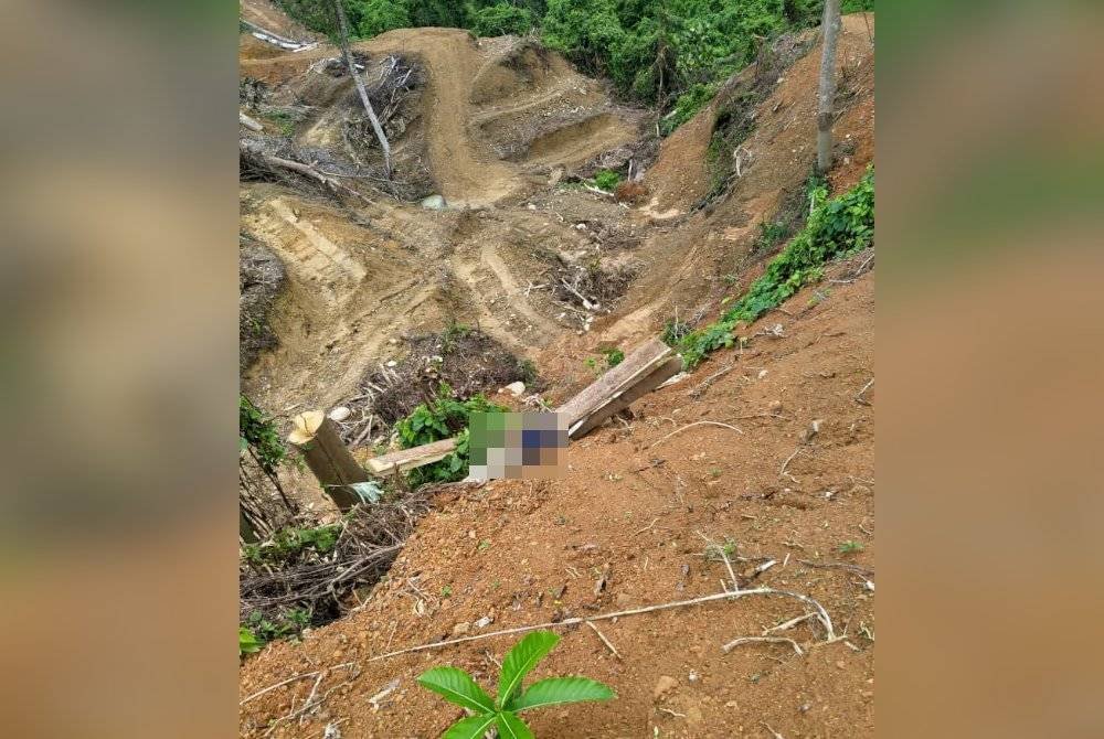 Lelaki warga emas ditemui maut akibat dihempap ketika memotong pokok di kawasan kebun.