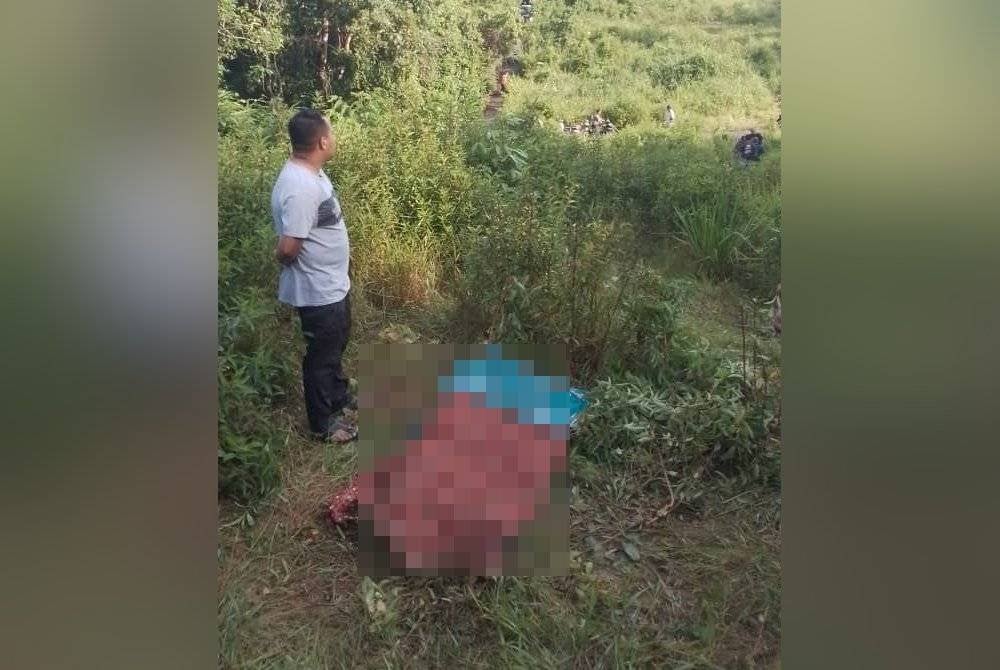 Keadaan mayat Musa ketika ditemukan dalam kawasan kebun dekat Kampung Basung, Hulu Terengganu. Foto bomba
