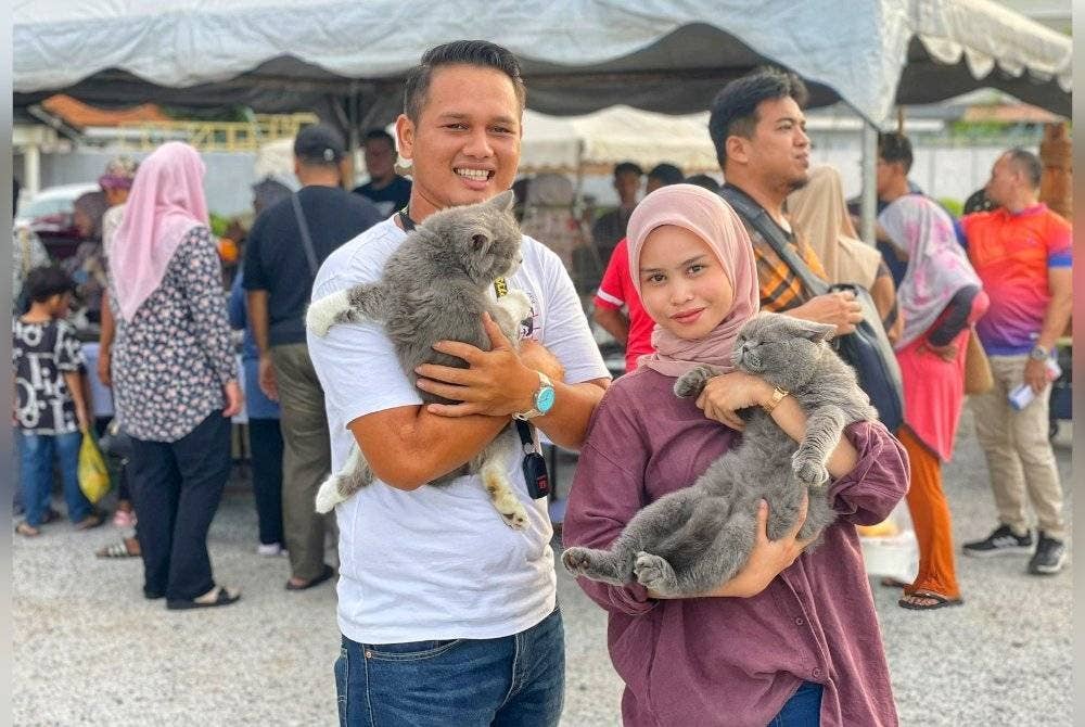 Antara kucing yang dipamerkan sempena tema mingguan Cat Day 'Sayangi Kucing Kiter' di Payang Walk, Kuala Terengganu pada Jumaat lalu.