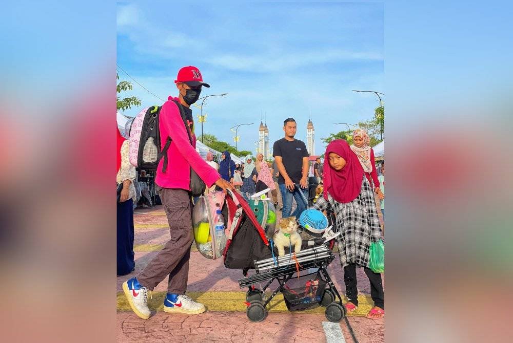 Kucing daripada baka british shorthair yang dibawa ke Payang Walk menarik perhatian pengunjung yang berkunjung ke lokasi perniagaan itu.