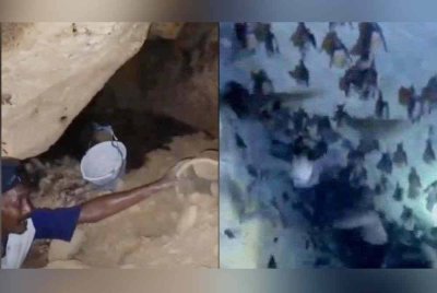 Gua tersebut dikatakan menjadi sarang kelawar untuk tempoh yang tidak diketahui. Foto Agensi