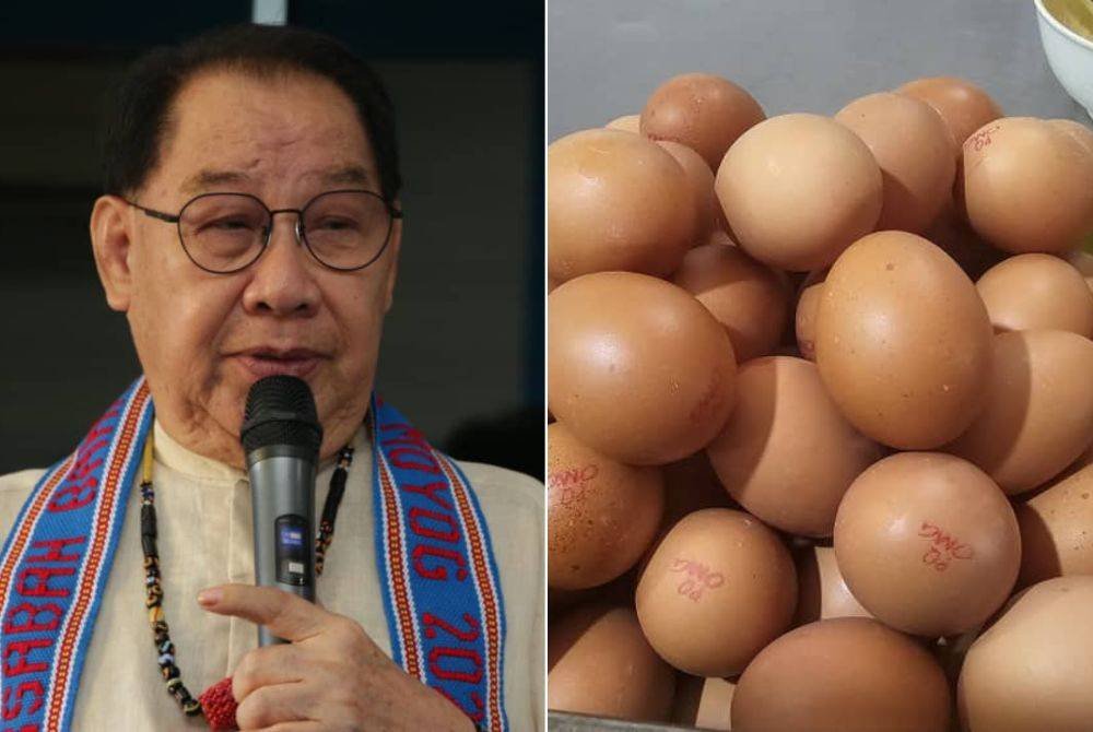 Jeffrey (kiri), Subsidi bersasar harus dilaksanakan di Sabah dan Sarawak jika kerajaan berhasrat menamatkan subsidi telur ayam. Gambar hiasan