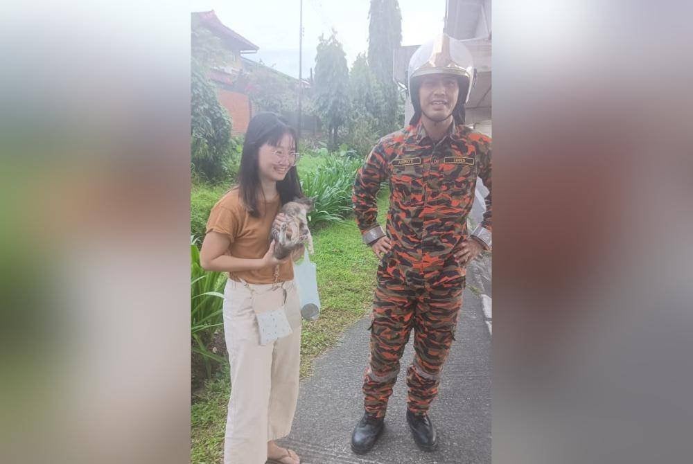 Kucing yang diselamatkan diserahkan kepada orang awam untuk dijadikan haiwan peliharaan.