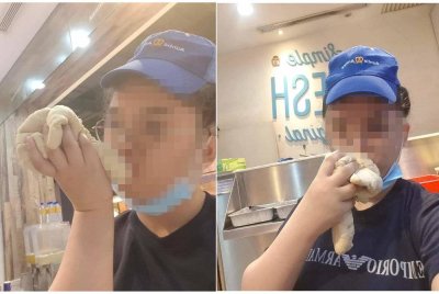 Gambar pekerja Auntie Anne's Mid Valley Megamall mencium doh roti tular di media sosial.