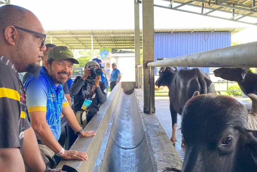 Mohd Uzir (dua dari kiri) mengadakan bancian pertanian ke sebuah perusahaan ternakan kerbau di Langkawi.