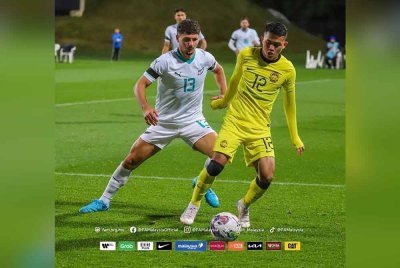 Harimau Malaya mendapat pengalaman berguna di pentas antarabangsa selepas dibelasah pasukan ranking ke-95 dunia, New Zealand 0-4 dalam aksi persahabatan Tier 1 di Stadium North Harbour, Auckland pada Isnin.