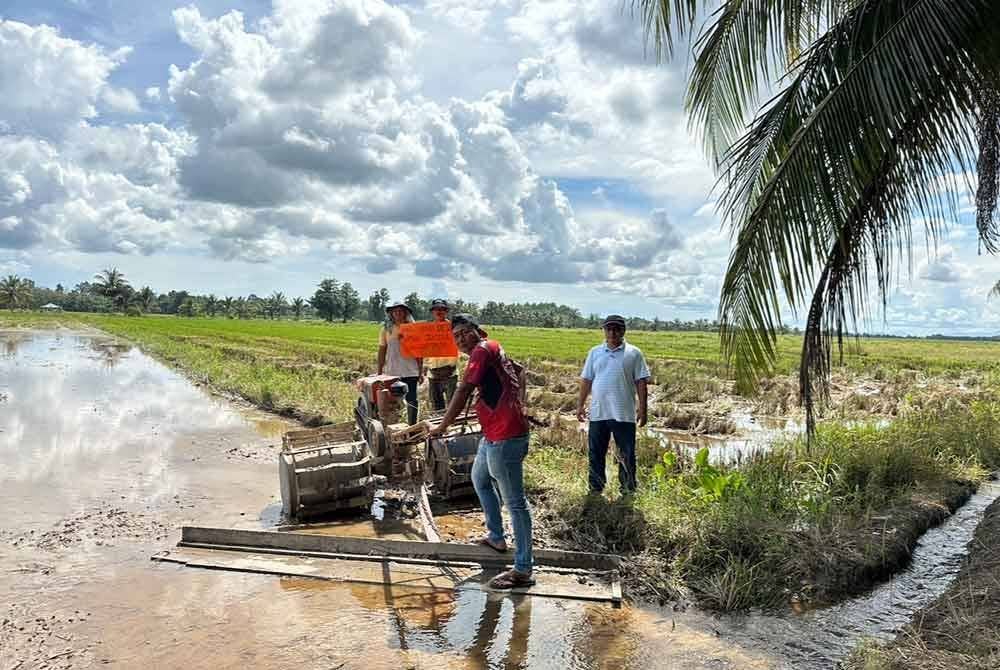 Pesawah yang melakukan proses membajak.