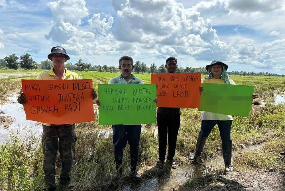 Pihak kerajaan digesa segera mengambil perhatian isu berkenaan bagi menggelak lebih ramai petani bertukar tanaman.