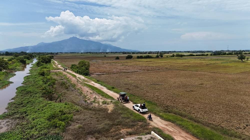 Pengerusi MADA, Datuk Dr Ismail Salleh dan pasukannya meninjau kawasan tanaman padi yang rosak akibat banjir di PPK Bukit Besar.