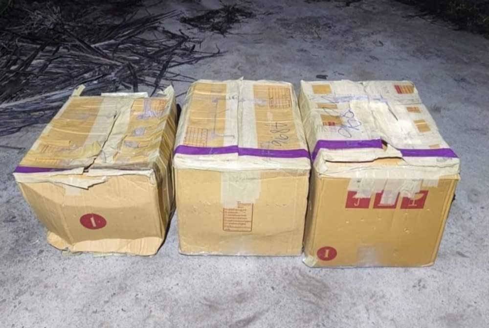 PGA Kuala Terengganu mematahkan kegiatan penyeludupan haiwan eksotik dalam serbuan di Kampung Mentua, Pengkalan Kubor pada Khamis.