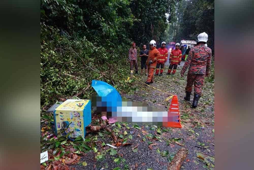 Mangsa dikeluarkan orang awam sebelum ketibaan bomba, namun disahkan meninggal dunia di tempat kejadian.