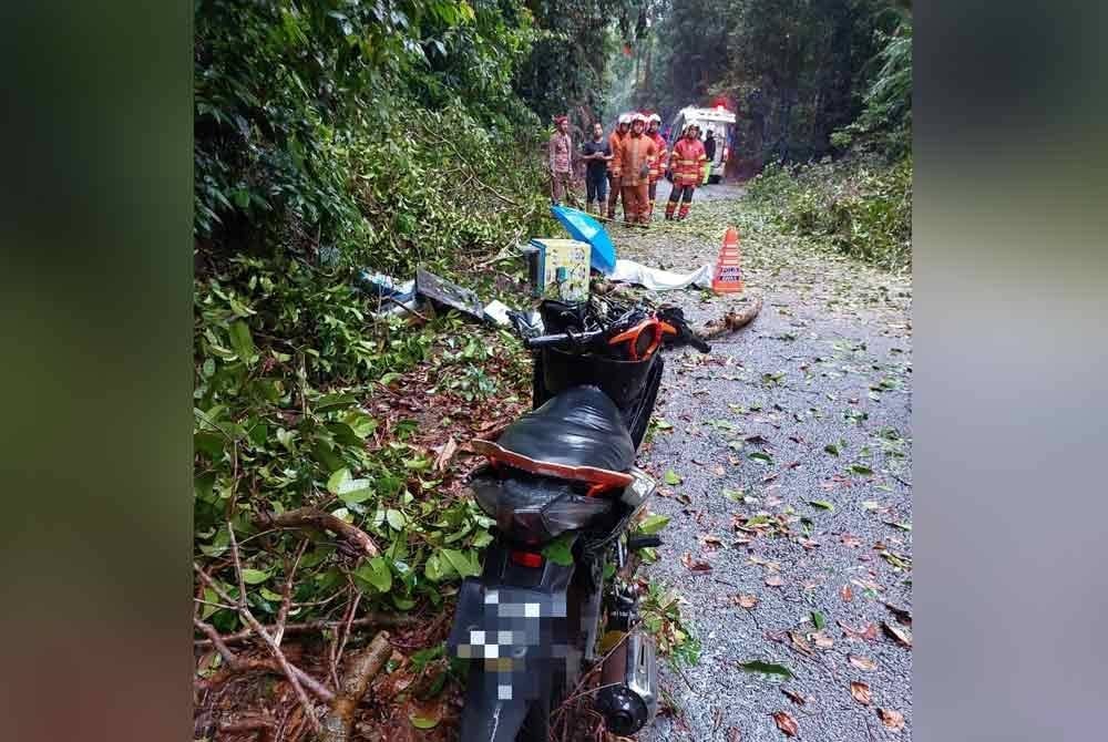 Keadaan motosikal dinaiki mangsa yang maut dihempap pokok tumbang di Jalan Air Terjun Sungai Pandan, Felda Panching di sini pada Sabtu.