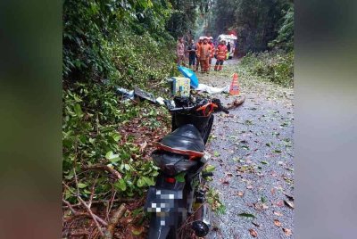 Keadaan motosikal dinaiki mangsa yang maut dihempap pokok tumbang di Jalan Air Terjun Sungai Pandan, Felda Panching di sini pada Sabtu.