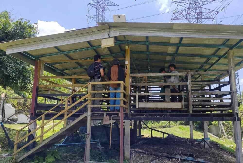 Kandang Ab Razak yang dipercayai diceroboh binatang liar hingga menyebabkan enam ekor kambingnya mati.