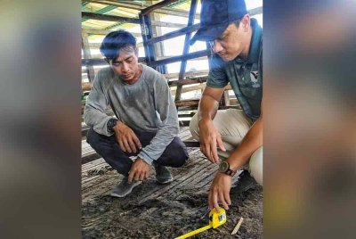 Ab Razak (kiri) melihat seorang pegawai Perhilitan mengukur kawasan yang berlaku kejadian kambing dibaham dipercayai harimau kumbang.