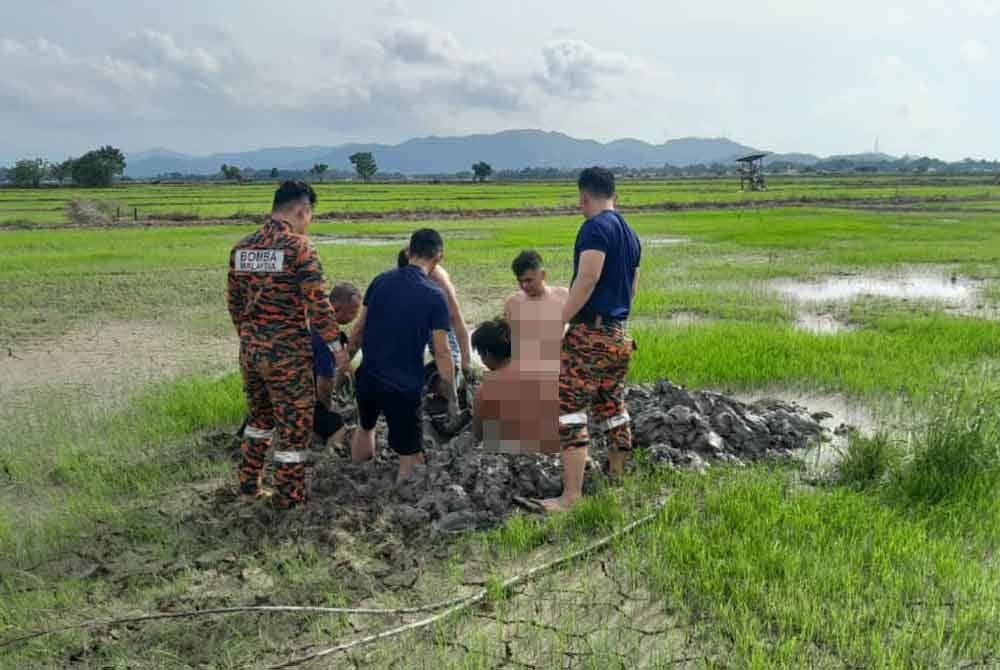 Pasukan bomba bersama penduduk cuba mengeluarkan pesawah yang juga warga emas yang terbenam pada lumpur di kawasan sawah padi di Kampung Tempasuk, Kota Belud.
