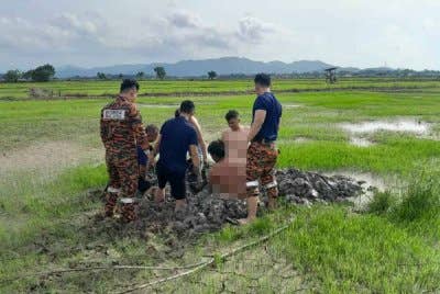 Pasukan bomba bersama penduduk cuba mengeluarkan pesawah yang juga warga emas yang terbenam pada lumpur di kawasan sawah padi di Kampung Tempasuk, Kota Belud.