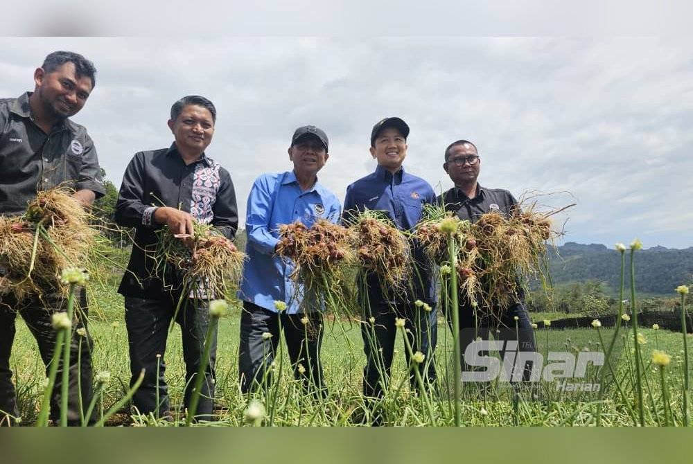 Syahrizal (dua dari kiri) bersama Timbalan Menteri Pertanian dan Keterjaminan Makanan Datuk Arthur Kurup (dua dari kanan) ketika lawatan kerja di ladang tanaman bawang merah di Kampung Tanah Merah, Mesilau, Kundasang. FOTO SINAR HARIAN - ASYIKIN ASMIN