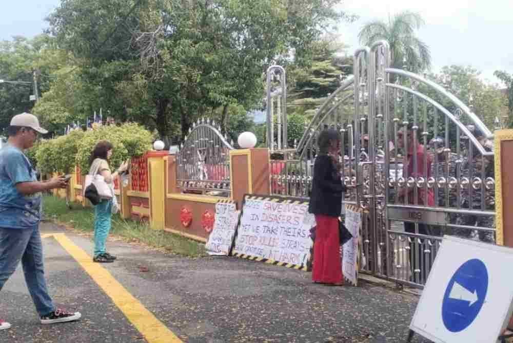 Dua aktivis haiwan dari Kuala Lumpur menggesa siasatan dilakukan terhadap kematian seekor anjing liar digelar Kopi, baru-baru ini.